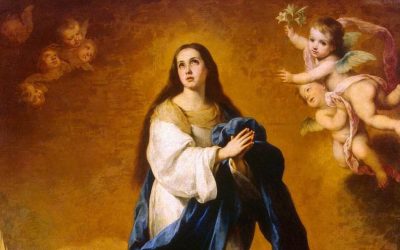 Immaculate Conception Novena